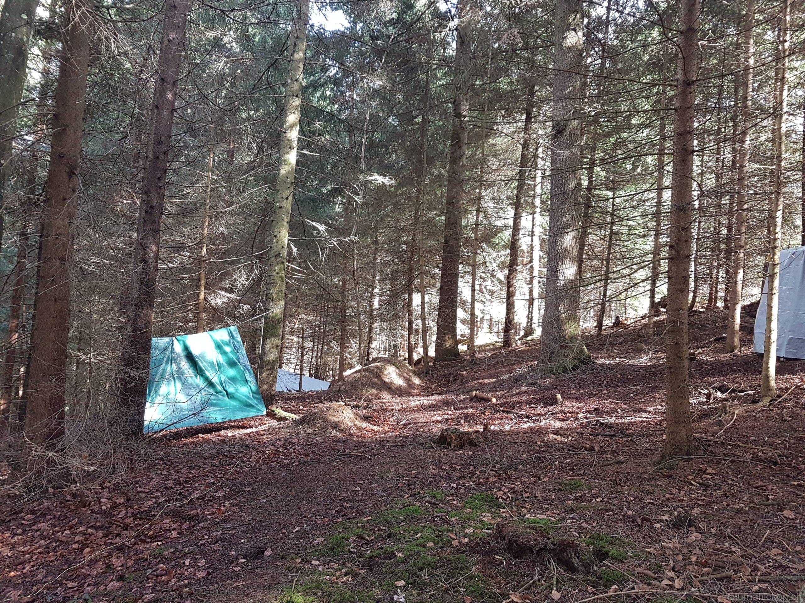 Shelters
